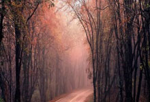 征途国际:队史123年从未做到❗皇马冲击赛季三冠王,三线都是地狱难度.