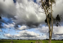 多纳鲁马:两粒丢球很遗憾&原本可以避免 感谢来自圣西罗的支持.