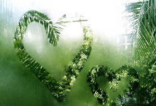 征途国际:曼巴风骨!曾凡博手指肿到变形坚持出战,两战投篮28中7大受影响.