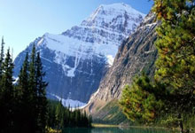 辛纳力克梅德韦杰夫 弗里茨晋级年终总决赛四强.