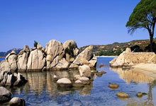 孙兴慜:搭档过最聪明的球员是凯恩;最难对付的后卫是范戴克.